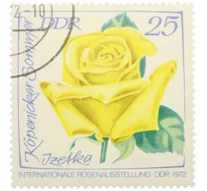 Почтовая марка 25 пфеннигов 1972 года Восточная Германия (ГДР) «Международная выставка роз в Эрфурте — Роза Кепеникер Зоммер» — Фото №1