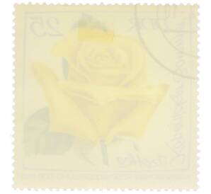 Почтовая марка 25 пфеннигов 1972 года Восточная Германия (ГДР) «Международная выставка роз в Эрфурте — Роза Кепеникер Зоммер» — Фото №2