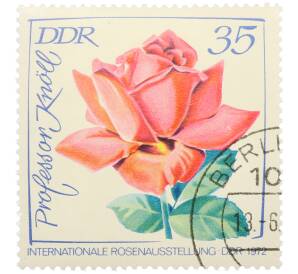 Почтовая марка 35 пфеннигов 1972 года Восточная Германия (ГДР) «Международная выставка роз в Эрфурте — Роза Профессор Кнолль» — Фото №1