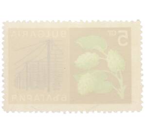 Почтовая марка 5 стотинок 1964 года Болгария «Сельскохозяйственные культуры — Хмель обыкновенный» — Фото №2