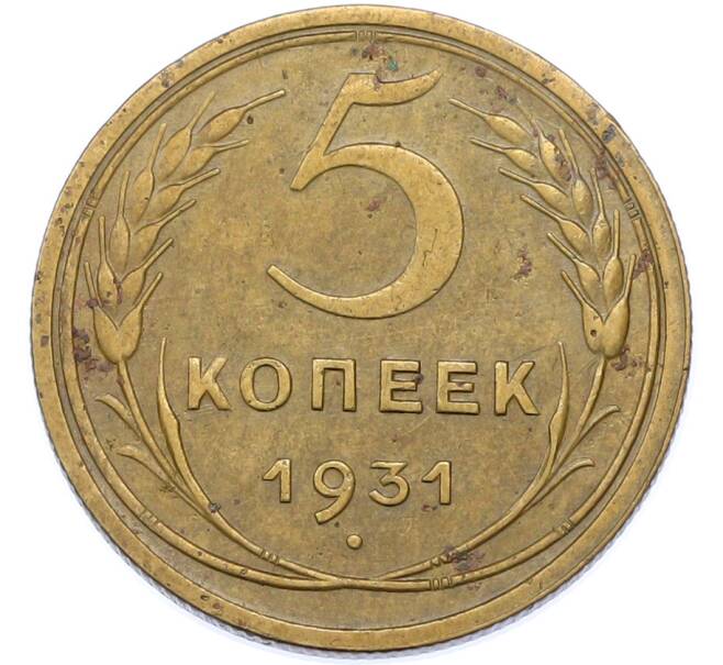Монета 5 копеек 1931 года (Артикул: K7-1737) — Фото №1