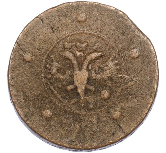 Монета 5 копеек 1727 года (Артикул: M1-67332) — Фото №2