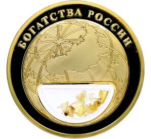 Жетон 2020 года «Богатства России — Янтарь» — Фото №2