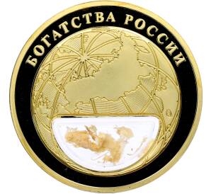 Жетон 2020 года «Богатства России — Лес» — Фото №2