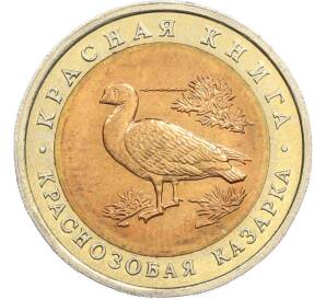 10 рублей 1992 года ЛМД «Красная книга — Краснозобая казарка» — Фото №1