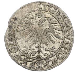 1/2 гроша 1565 года Литва