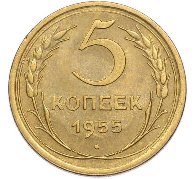 Монета 5 копеек 1955 года (Артикул: K7-2365) — Фото №1