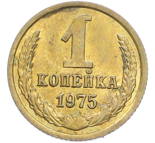 Монета 1 копейка 1975 года (Артикул: K7-2403) — Фото №1