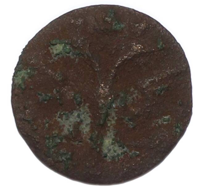 Монета Полушка 1718-1722 года (Артикул: T11-47304) — Фото №2