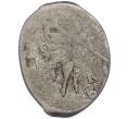 Монета Копейка 1547-1584 года Иван IV «Грозный» (Новгород) (Артикул: T11-47146) — Фото №1