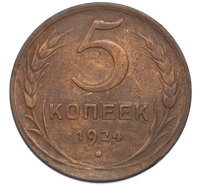 Монета 5 копеек 1924 года (Артикул: K12-89565) — Фото №1