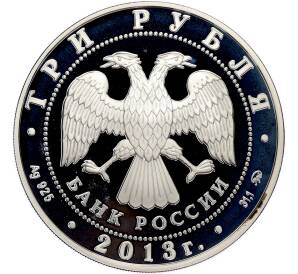 3 рубля 2013 года ММД «Лунный календарь — Год Змеи» — Фото №2