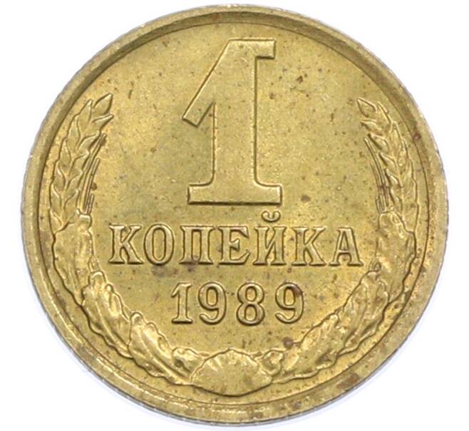 Монета 1 копейка 1989 года (Артикул: T11-48320) — Фото №1