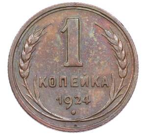 1 копейка 1924 года — Фото №1