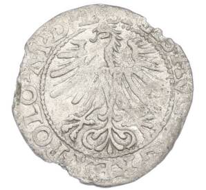 1/2 гроша 1564 года Литва — Фото №2