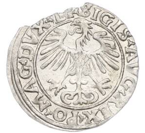 1/2 гроша 1556 года Литва — Фото №2