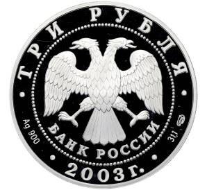 3 рубля 2003 года СПМД «Окно в Европу — Выборг» — Фото №2
