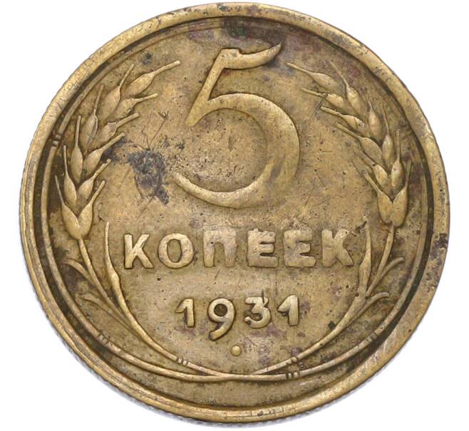 Монета 5 копеек 1931 года (Артикул: T11-49002) — Фото №1