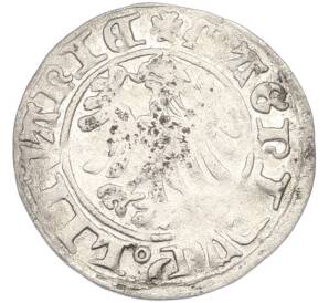 1/2 гроша 1495-1506 года Литва (Александр I Ягеллончик) — Фото №2