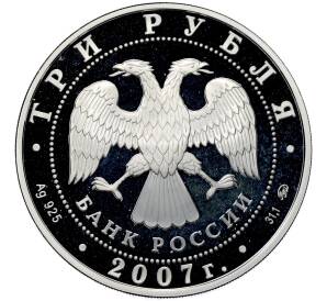 3 рубля 2007 года ММД «Лунный календарь — Год Кабана» — Фото №2