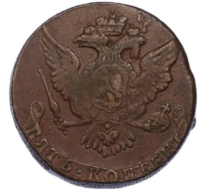 Монета 5 копеек 1761 года (Артикул: K7-3395) — Фото №2