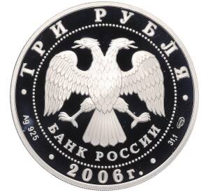3 рубля 2006 года СПМД «Чемпионат мира по футболу 2006 в Германии» — Фото №2
