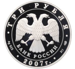 3 рубля 2007 года СПМД «Международный полярный год» — Фото №2