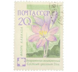 Почтовая марка 20 копеек 1960 года «Флора СССР (Флора Кавказа) — Безвременник великолепный» — Фото №1