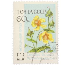 Почтовая марка 60 копеек 1961 года «Флора СССР (Флора Дальнего Востока) — Зверобой большой» — Фото №1