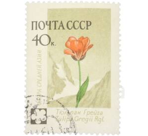 Почтовая марка 40 копеек 1960 года «Флора СССР (Флора Средней Азии) — Тюльпан Грейга» — Фото №1