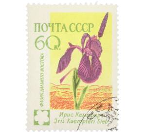 Почтовая марка 60 копеек 1960 года «Флора СССР (Флора Дальнего Востока) — Ирис Кемпфера» — Фото №1