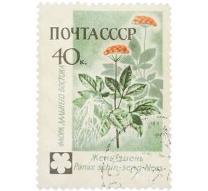 Почтовая марка 40 копеек 1960 года «Флора СССР (Флора Дальнего Востока) — Женьшень» — Фото №1