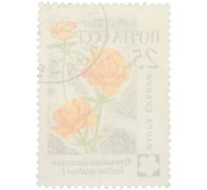 Почтовая марка 25 копеек 1960 года «Флора СССР (Флора Сибири) — Купальница азиатская» — Фото №2