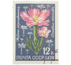 Почтовая марка 12 копеек 1974 года «Цветы альпийских лугов Средней Азии — Гвоздика разноцветная» — Фото №1