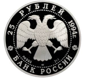 25 рублей 1994 года ЛМД «Россия и мировая культура — Андрей Рублев» — Фото №2