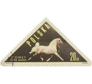 Почтовая марка 20 грошей 1963 года Польша «Породы лошадей — Арабский жеребец Comet» — Фото №1