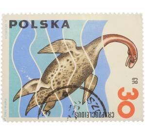 Почтовая марка 30 грошей 1965 года Польша «Доисторические животные — Криптоклид (Cryptocleidus)» — Фото №1