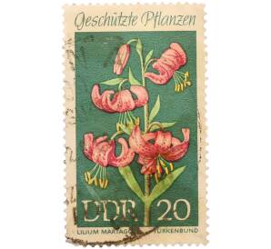 Почтовая марка 20 пфеннигов 1969 года Германия (ГДР) «Охраняемые растения — Лилия кудреватая (Lilium martagon)» — Фото №1