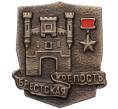 Значок «Брестская крепость» (Артикул: K8-2450) — Фото №1