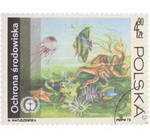 Почтовая марка 4,9 злотых 1973 года Польша «Охрана природы» — Фото №1