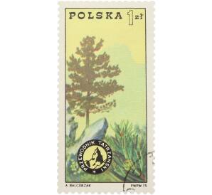 Почтовая марка 1 злотой 1975 года Польша «Судецкий Национальный парк» — Фото №1