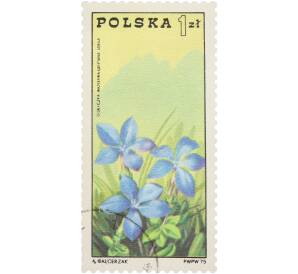 Почтовая марка 1 злотой 1975 года Польша «Судецкий Национальный парк» — Фото №1