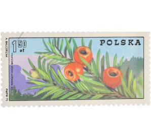 Почтовая марка 1,5 злотых 1975 года Польша «Судецкий Национальный парк» — Фото №1