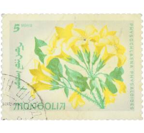 Почтовая марка 5 мунгу 1966 года Монголия «Цветы. Местная флора» — Фото №1
