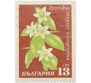 Почтовая марка 13 стотинок 1970 года Болгария «Кактусы» — Фото №1
