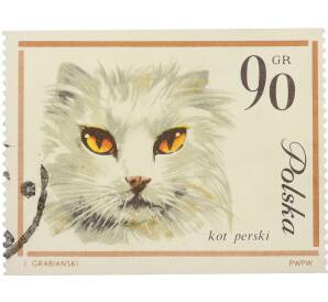Почтовая марка 90 грошей 1964 года Польша «Кошки» — Фото №1