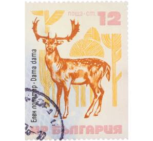 Почтовая марка 12 стотинок 1973 года Болгария «Фауна» — Фото №1