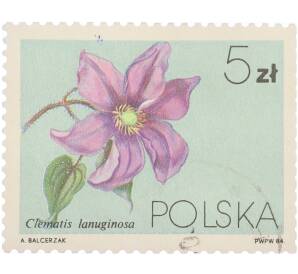 Почтовая марка 5 злотых 1984 года Польша «Цветы» — Фото №1