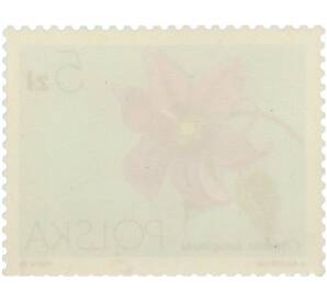 Почтовая марка 5 злотых 1984 года Польша «Цветы» — Фото №2