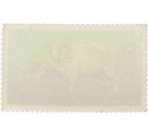 Почтовая марка 5 злотых 1975 года Польша «26-й съезд Европейской зоотехнической федерации в Варшаве — Овцы» — Фото №2